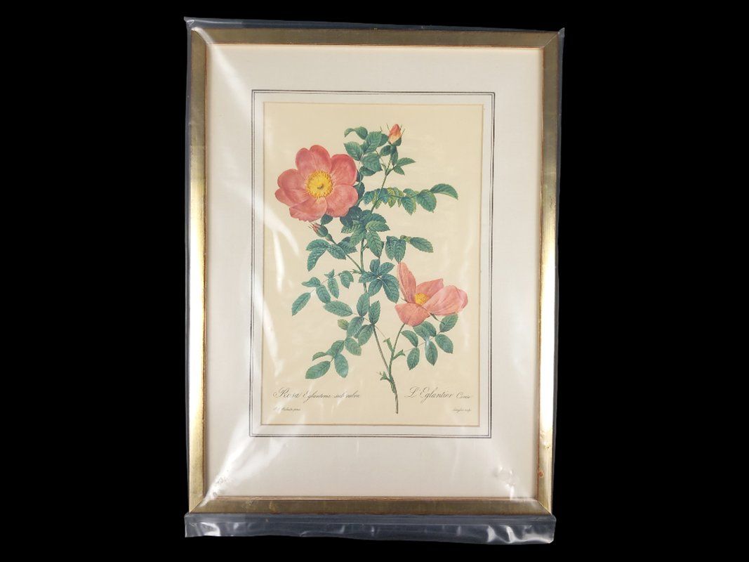 Poster & Bilder: Blumenbild in Bilderramen – Gebraucht aus Hünenberg von Restwert_Zug 7