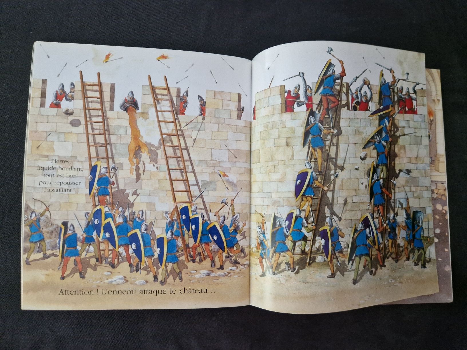 Libri: Cache-cache avec Le château fort – Nuovo (secondo la descrizione) da Villars-sur-Glâne venduto da Agnie80 4