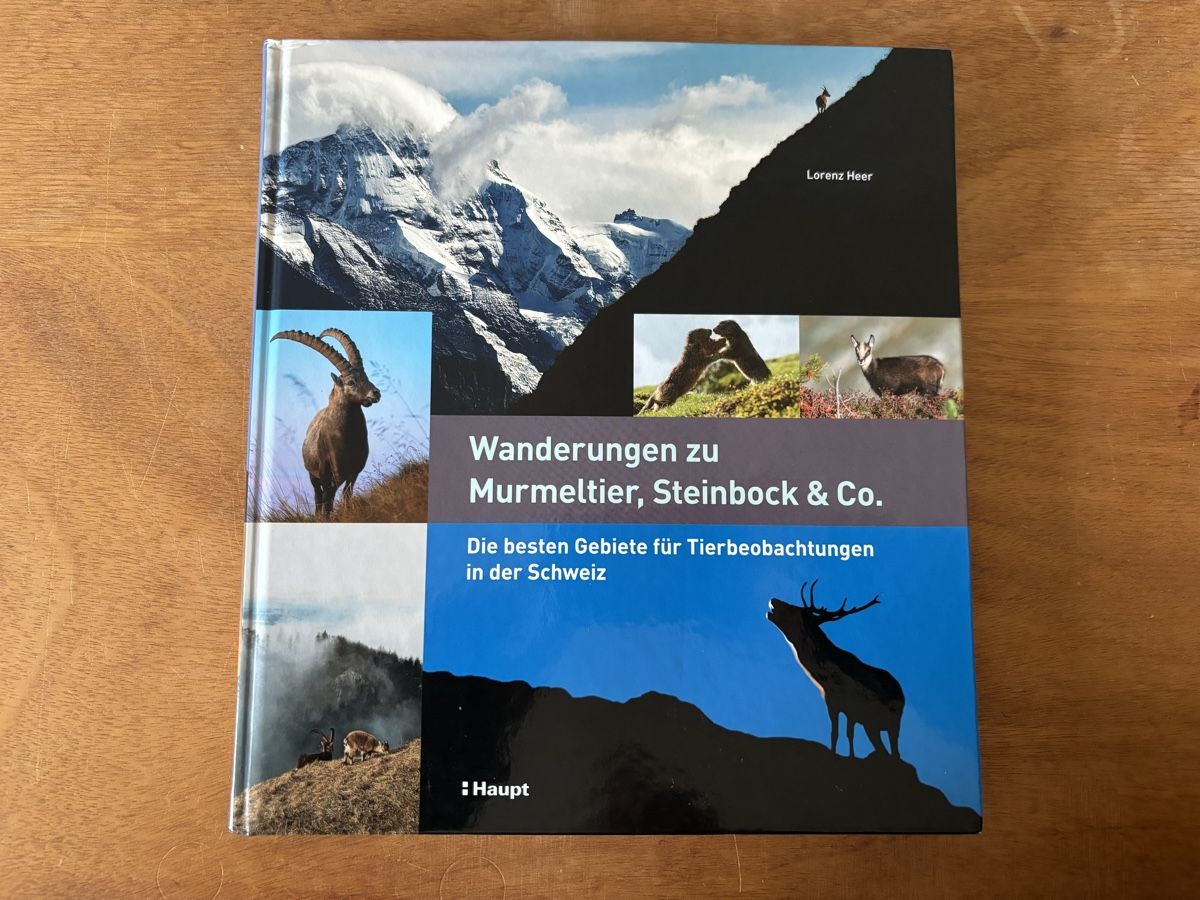 Bücher: Wanderungen zu Murmeltier, Steinbock & Co. – Gebraucht aus Zürich von WWehrle