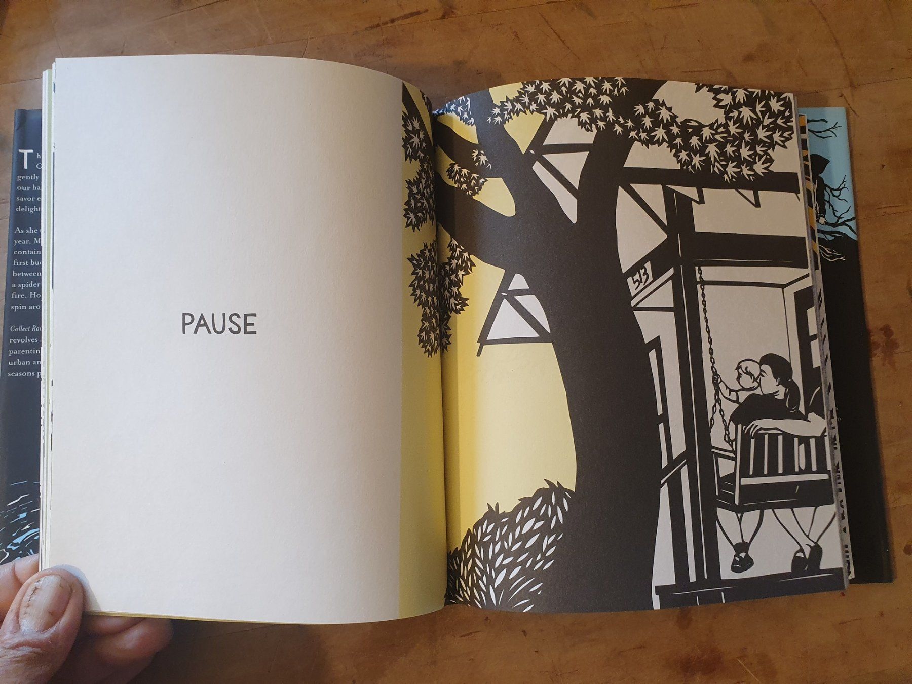 Libri: Collect Raindrops Mikki McClure Abrams – Usato da Zürich venduto da loosebone 4