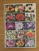 Memory Blumen NEU
