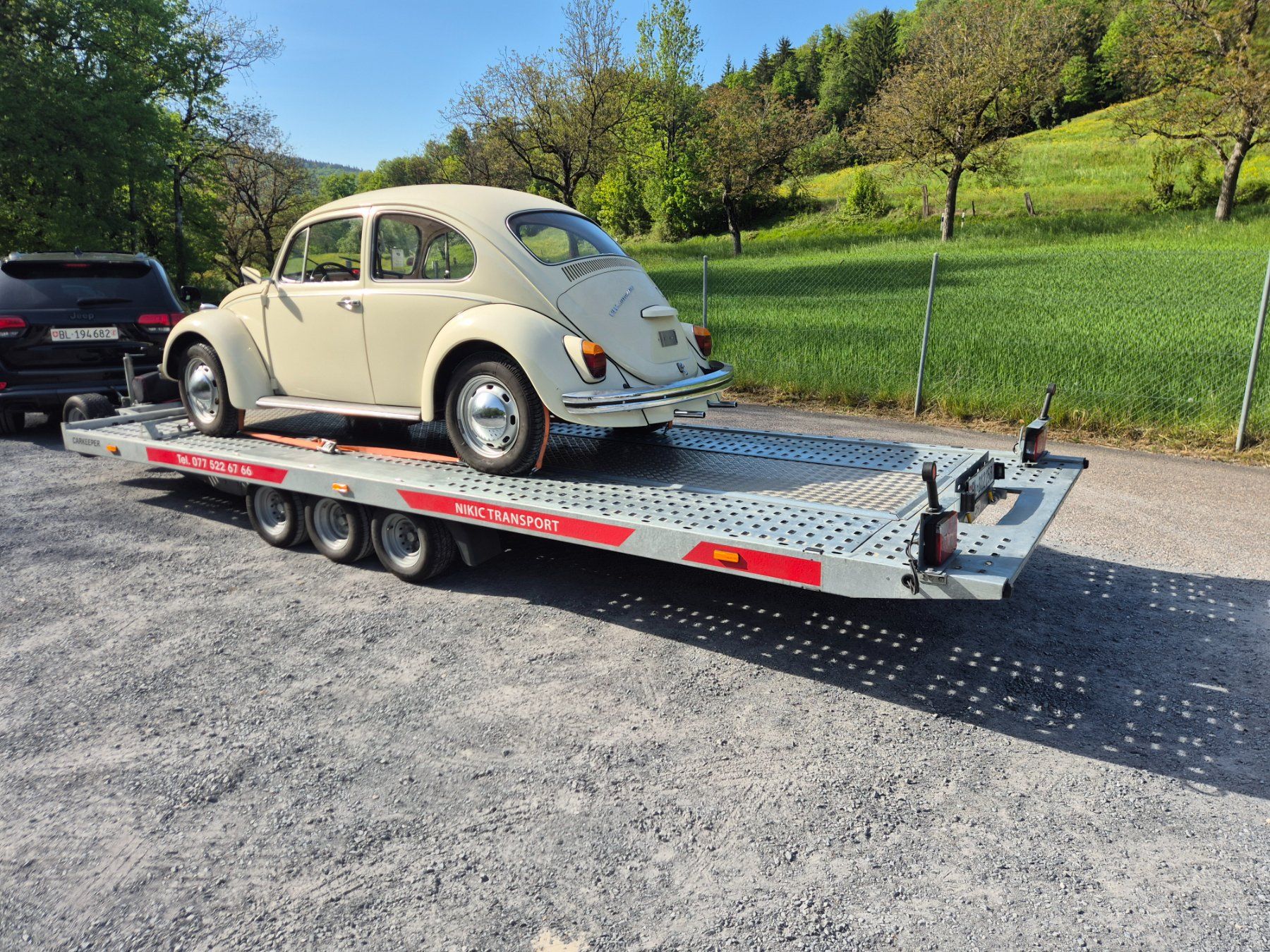 Servizi & Riparazioni: Transport Service – Usato da Binningen venduto da nik_knv5 3