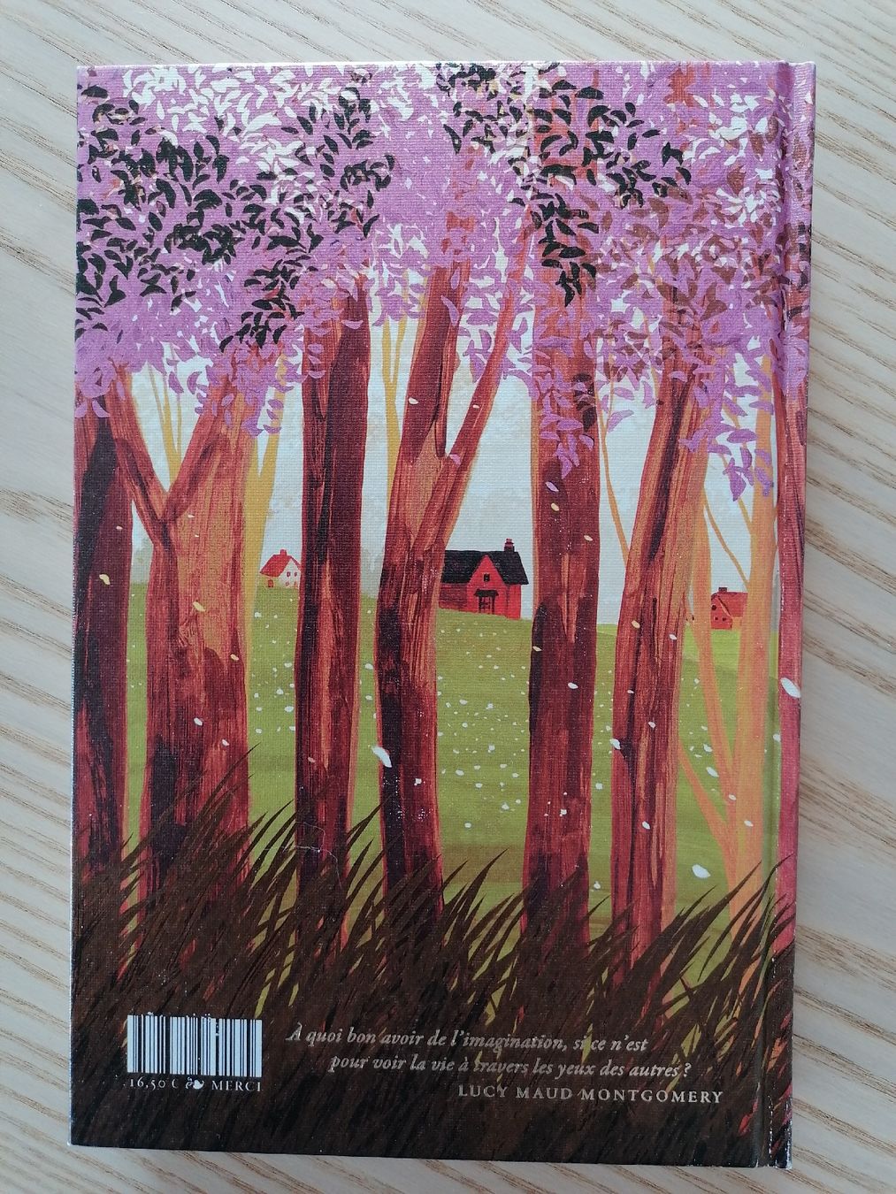 Bücher: Anne d'Avonlea – Neu (gemäss Beschreibung) aus Bretigny-Morrens von solveiga 1