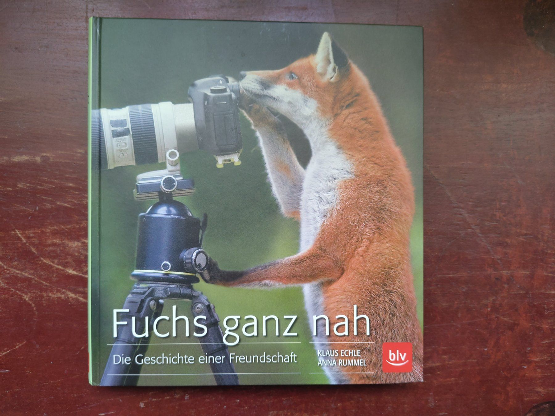 Libri: Fuchs ganz nah: Die Geschichte einer Freundschaft - Buch ... – Nuovo e nell'imballaggio originale da Bern venduto da Cassiopeia-72