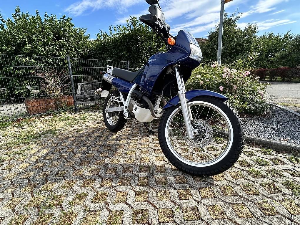 Enduro: Honda NX 250 – Gebraucht aus Schwadernau von n.boller