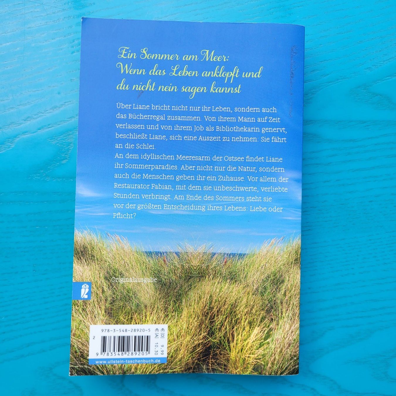 Libri: Meerhimmelblau- Clara Weissenberg – Usato da SCHÜBELBACH venduto da CoKaHa 1