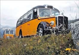 Postautos // FBW Blumenwiese // PTT