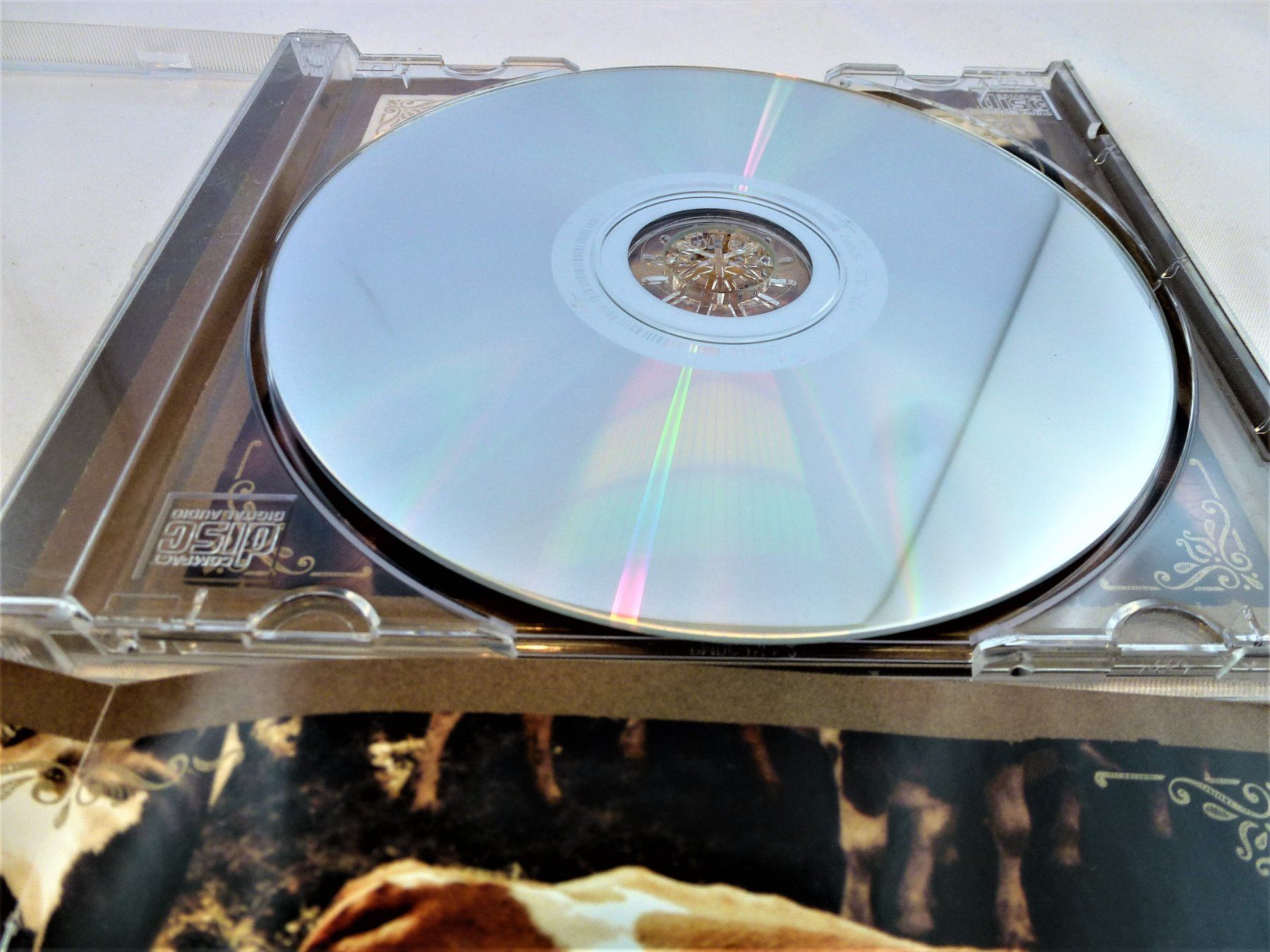 CD: CD Traufer Alpentainer – Usato da Murgenthal venduto da B.StM 6
