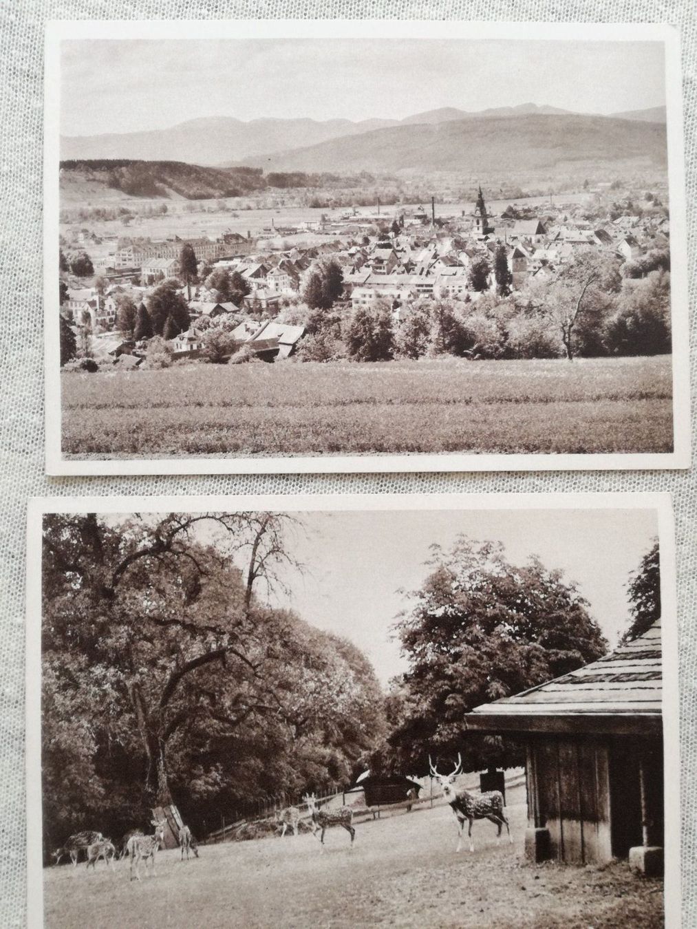 Cartoline postali: 7 AK Zofingen – Usato da Zürich venduto da tol_b7c7 1