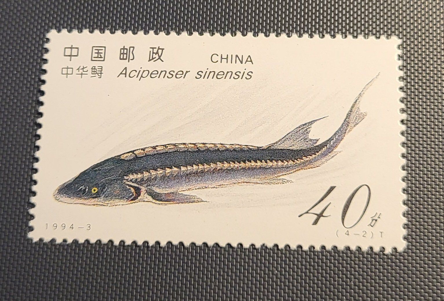 Tutti i francobolli: China 1994 briefmarke – Nuovo (secondo la descrizione) da St Gallen venduto da Stampsalshobby