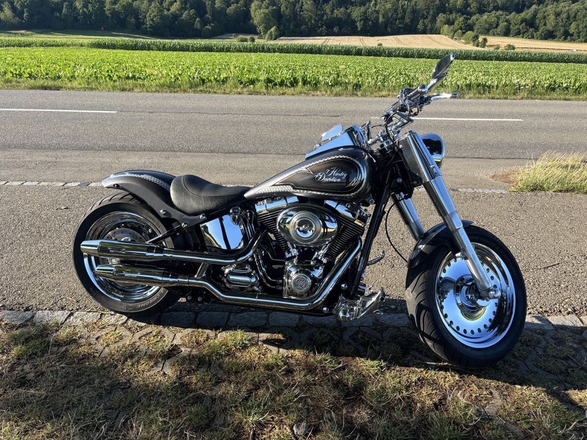 Harley-Davidson Altro: Harley Davidson Fat Boy Flstf – Usato da Birr venduto da Rosa74 5