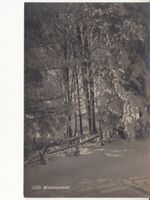 Motivkarte Winterpracht ca. 1920