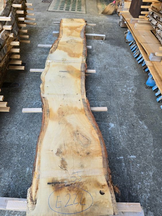 Articoli in legno: Eichenbrett Nr. 222 – Nuovo (secondo la descrizione) da Lützelflüh-Goldb venduto da ch.waelchli-holz.ch