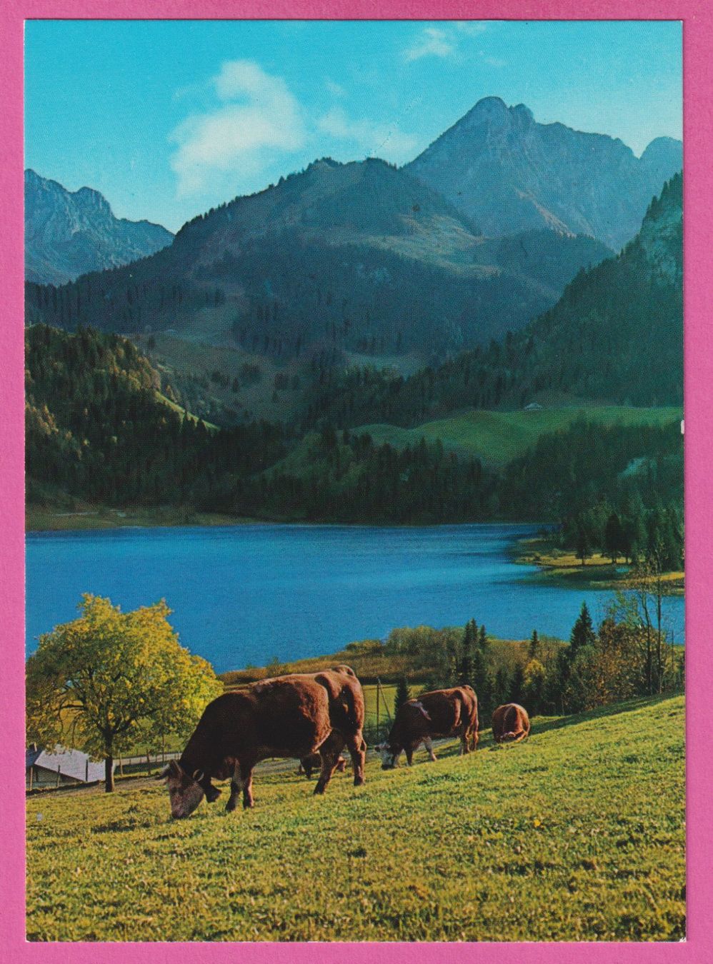 Cartoline postali: Schwarzsee mit Spitzfluh – Usato da Einsiedeln venduto da dillie