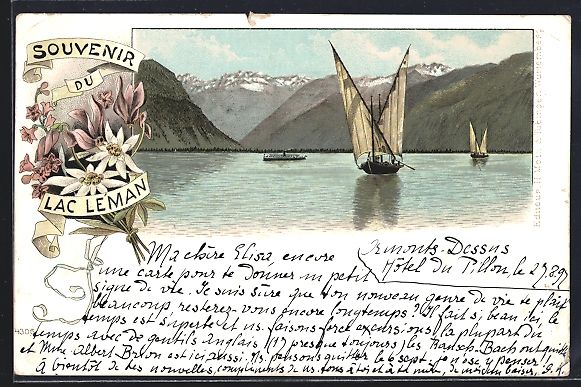 Cartoline postali: Lithographie Lac Léman, Vue panoramique – Usato da Berlin venduto da bartko-reher