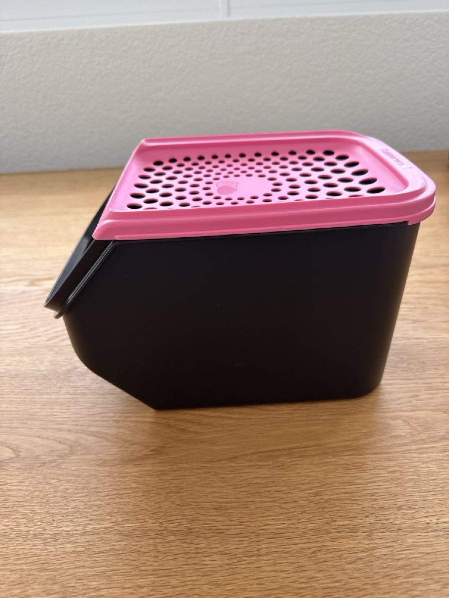Tupperware Contenitori & Simili: Tupperware Zwiebellager – Usato da Schiers venduto da ganmor 1