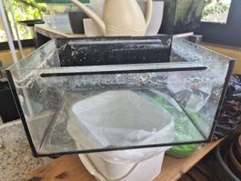 Aquarium 40cm