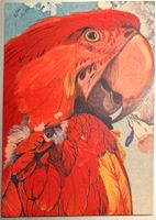 Mono-Reklamekarte: Der Arakanga von C. Fahringer, 1909