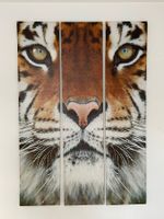 Wandbild Tiger, 3-teilig, Blickfang für dein Zuhause - Löwe
