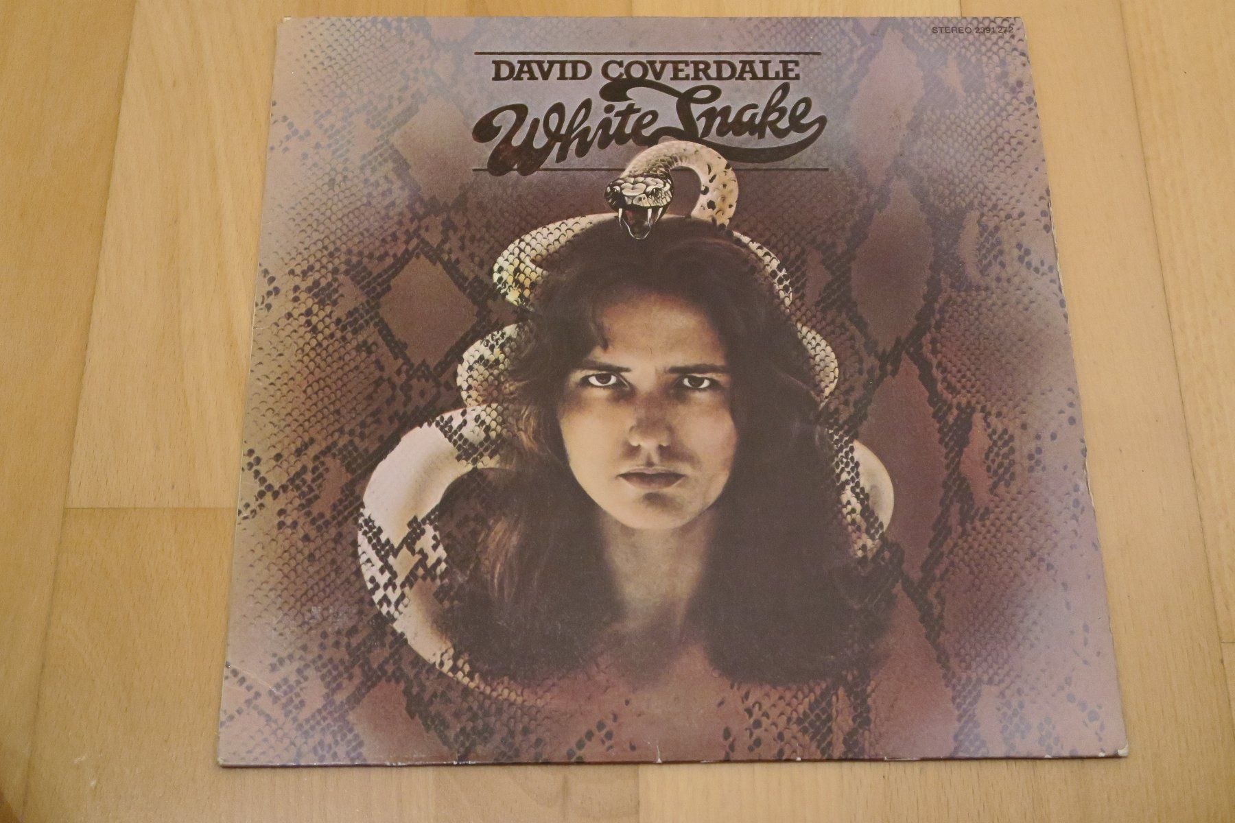 Dischi in vinile: David Coverdale – White Snake – Usato da Thun venduto da Karibu70