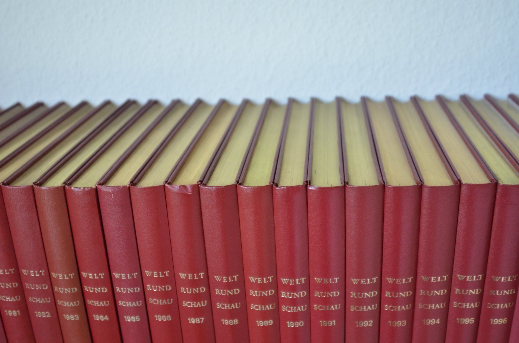 Libri: Buchserie WELTRUNDSCHAU – Nuovo (secondo la descrizione) da Magden venduto da Estimbo 1