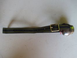 Treichel mit neuem Riemen