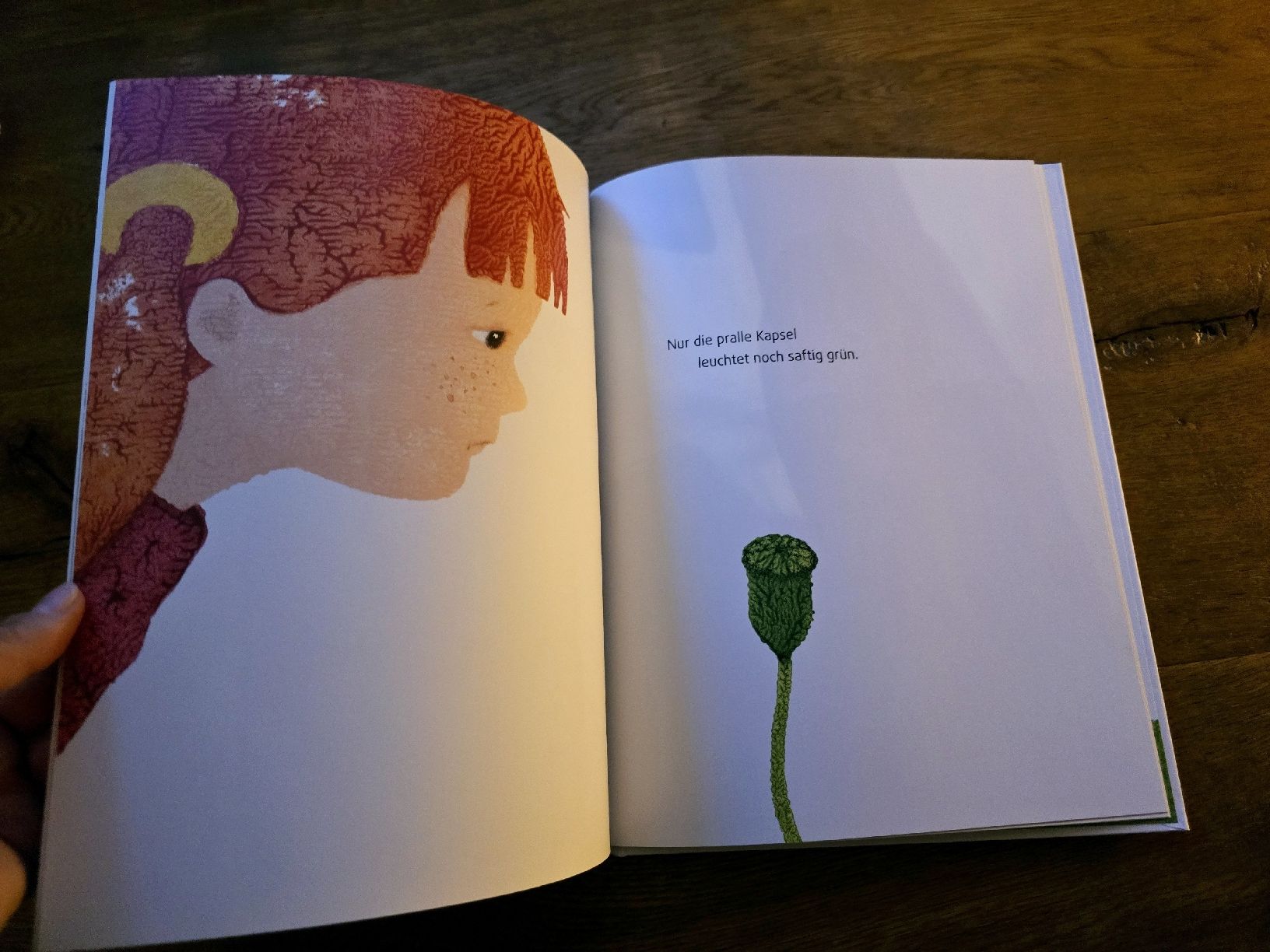 Libri: Lisas Mohnblume - Marcus Pfister - Kinderbuch – Usato da Wittenbach venduto da Tigerlili 2