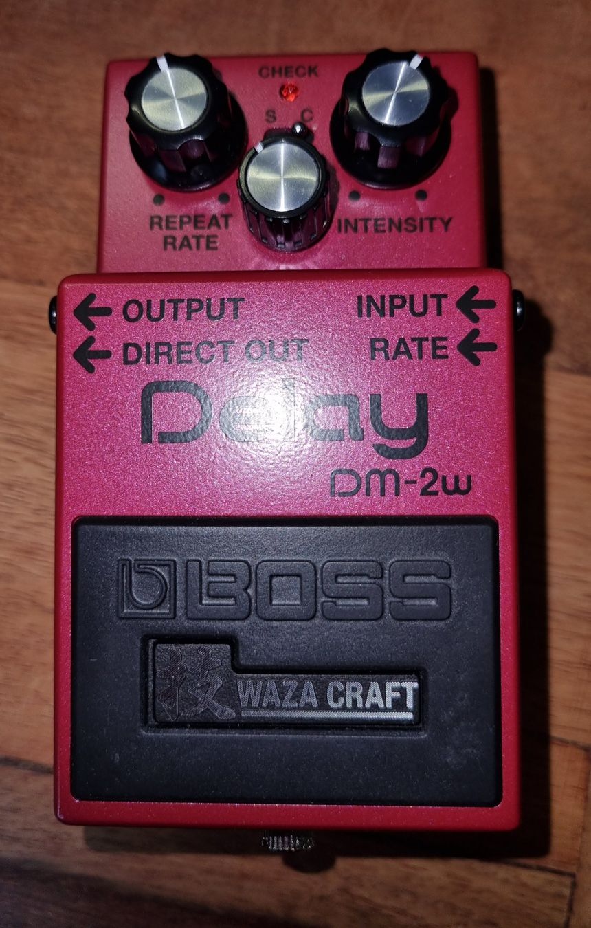 Boss Strumenti musicali: Boss Delay Pedal DM-2w Waza Craft – Usato da Zürich venduto da Hug1971 1