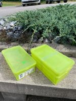 3er Set Rotho Aufbewahrungsboxen grün
