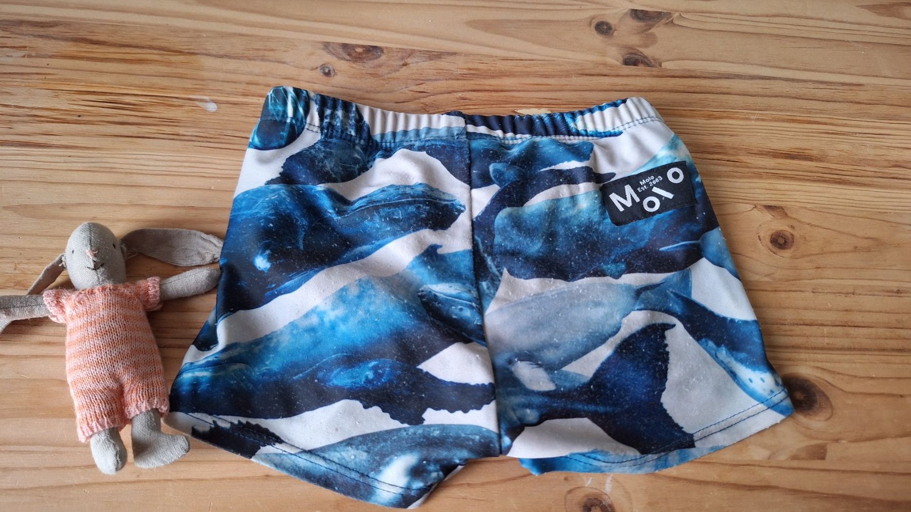 Molo Costumi da bagno: Molo Badehose Gr 86-92 – Usato da Wichtrach venduto da Elenagonzi 2