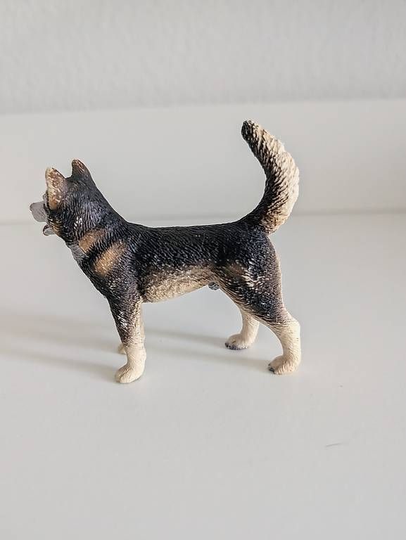 Giocattoli: Schleich Husky Rüde – Usato da Wangen b. Olten venduto da kim_x9zn 1
