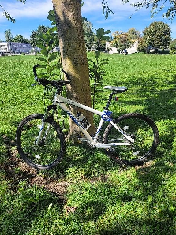 Biciclette: Bike blau-weiss Giant – Usato da Gutenswil venduto da taminu 4