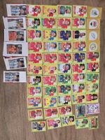 Panini WM 2026 Sammelbilder Panini ca.60-Stück  