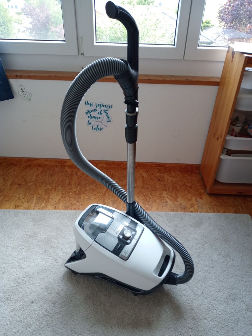 Miele Staubsauger & Zubehör: Staubsauger Miele Blizzard CX1 – Gebraucht aus Prez-vers-Siviriez von Monija70