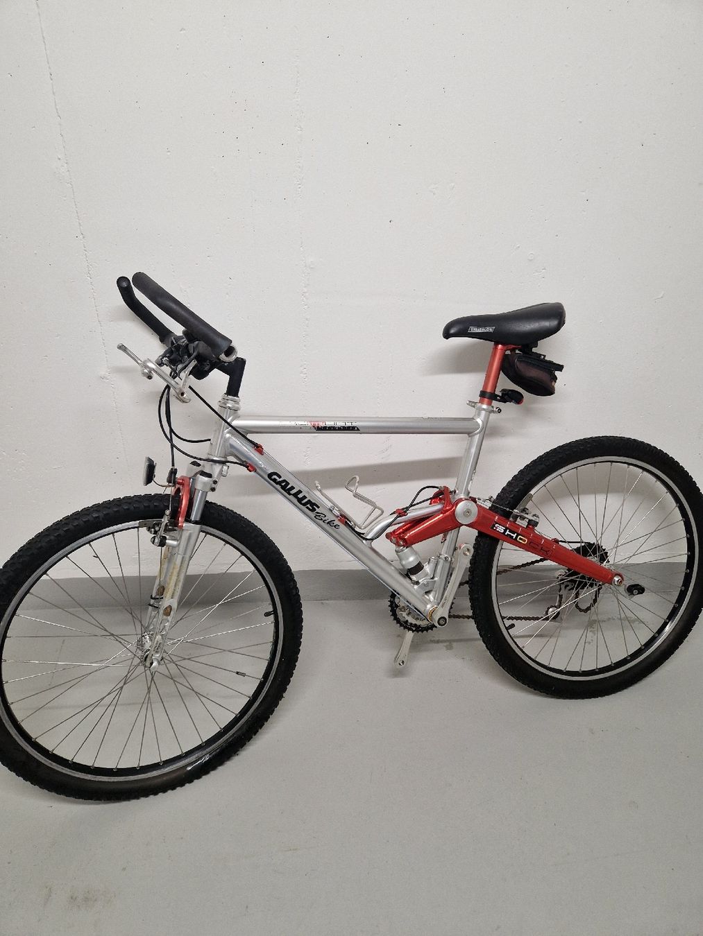 Biciclette: Gallus bike  – Difettoso da Rothrist venduto da Aloe16 1