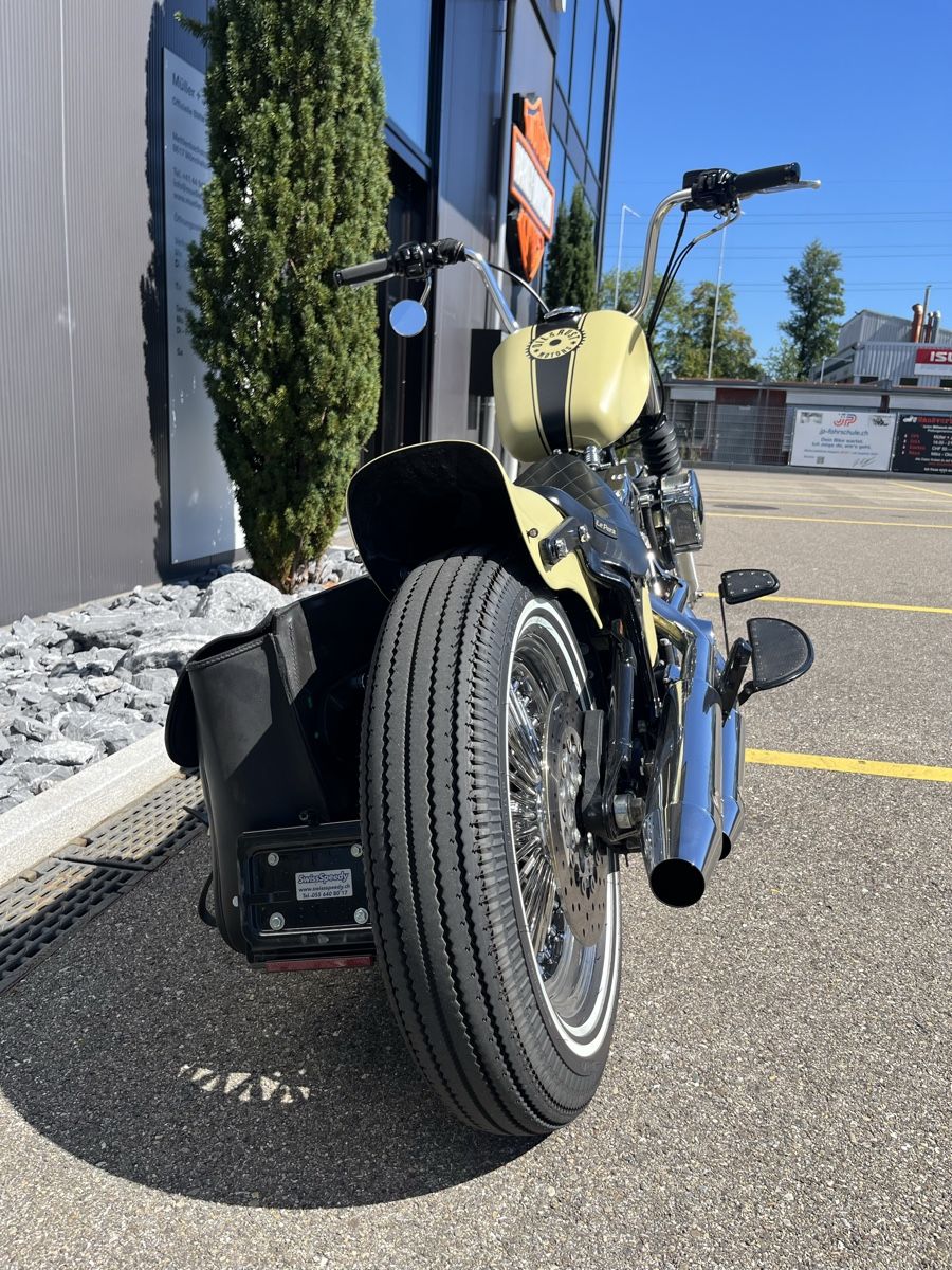 Harley-Davidson Chopper: Harley Evo Softail – Usato da Maur venduto da EvoPit 3