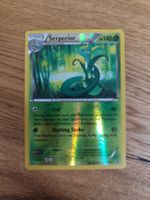Pokemon Serperior XY Fates Collide 2015 reverse holo