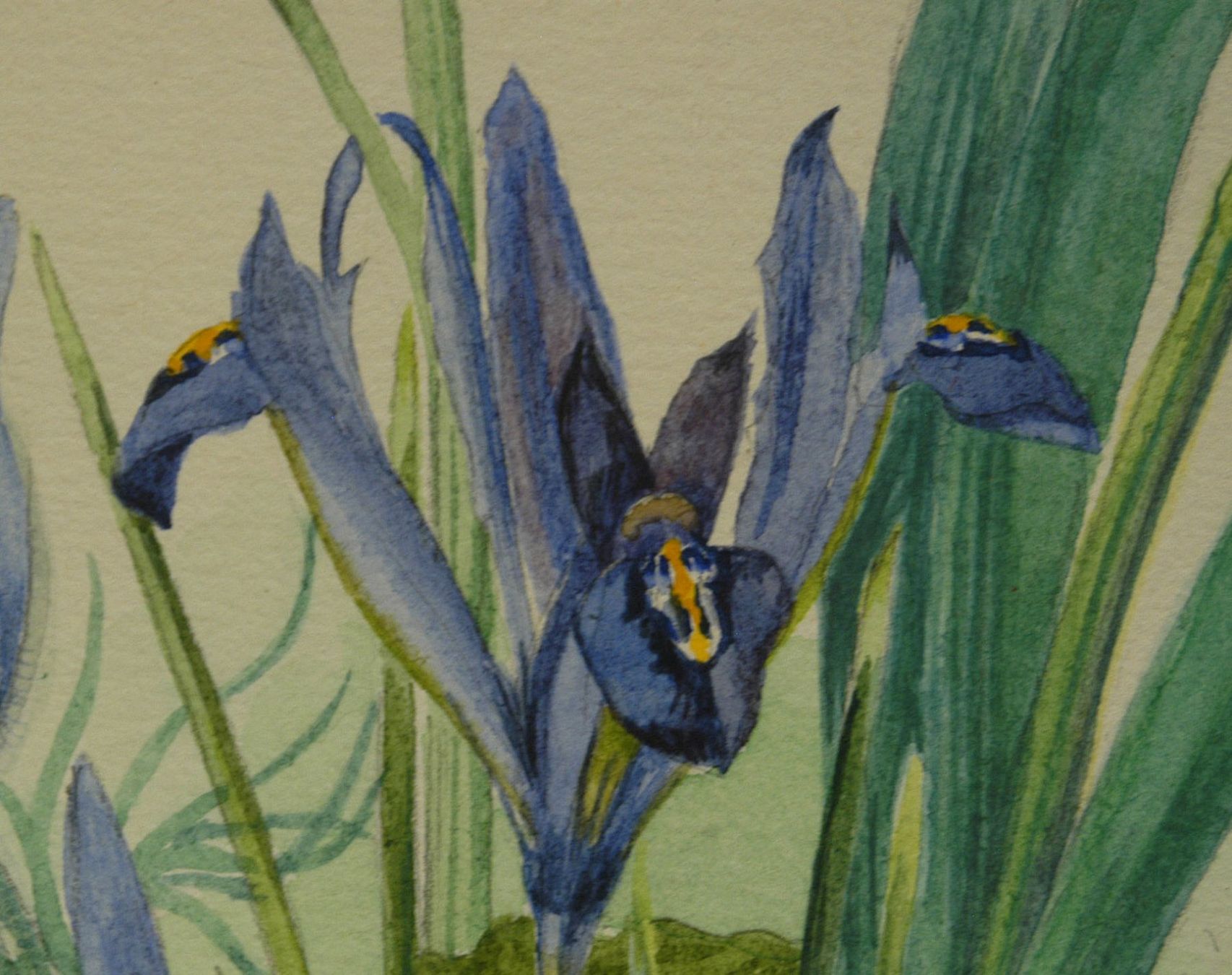 Dipinti: Blumenstilleben Aquarell signiert – Usato da Herisau venduto da Wisen 3