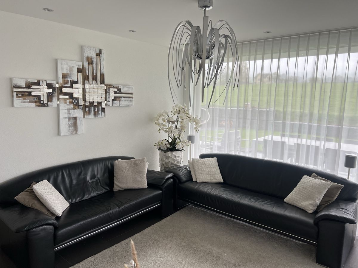 Divani: Leder Sofa, Designer Tisch, Teppich und Wandbild – Usato da Niederuzwil venduto da thumahabip 3