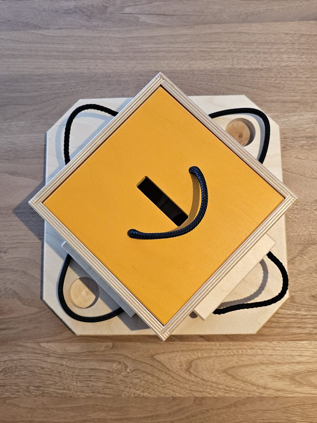 Spielzeuge: Intelligenz Spielzeug Hund Trouble – Neu (gemäss Beschreibung) aus Matzingen von C.Gfeller