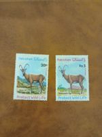 Lot de 2 Timbres rares du Pakistan - Ibex faune!