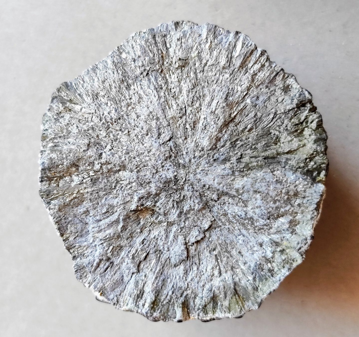 Minerali & Pietre curative: Ancienne stalagmite naturelle coupée en deux – Usato da Carouge GE venduto da for_8yym 1