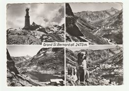 Ansichtskarte Grand Sankt Bernhard mit Hund Gelaufen
