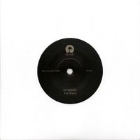 PJ Harvey, The Wheel - 7" Vinyl Single Etched