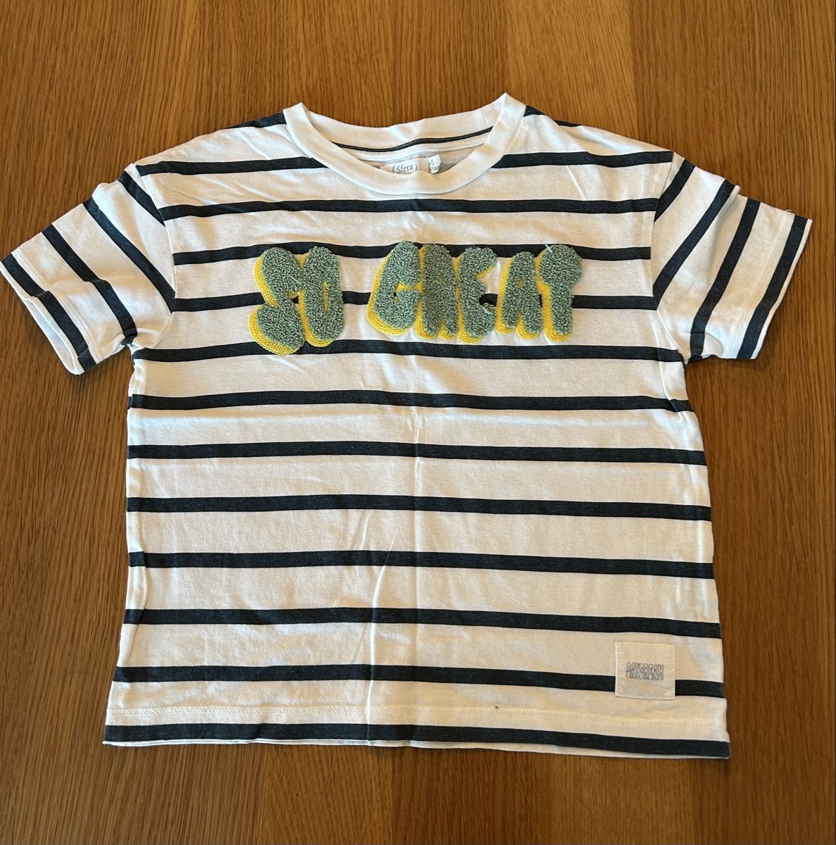 Camicie, T-shirt & Polo: 2 Kinder T-Shirts Gr. 110 – Usato da Schwarzenbach SG venduto da bienchen22 1