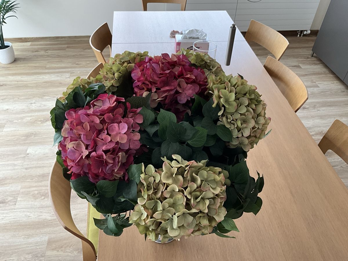 Tutte le decorazioni: Kunstblumen Hortensia zu Dekoration – Usato da Pfeffingen venduto da Gwendolf 1