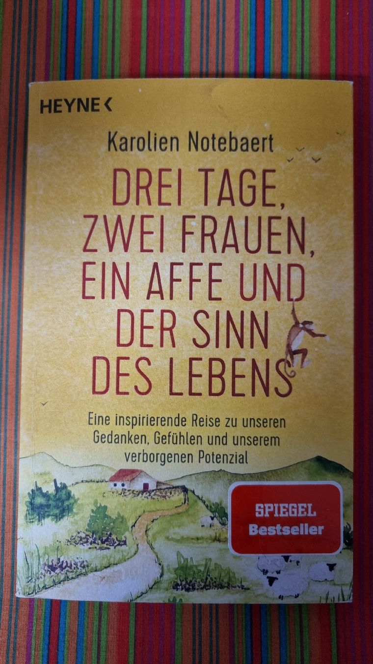 Bücher: Buch "Drei Tage, Zwei Frauen, Ein Affe" Karolin Notebaert – Gebraucht aus Steinach von lesefieber