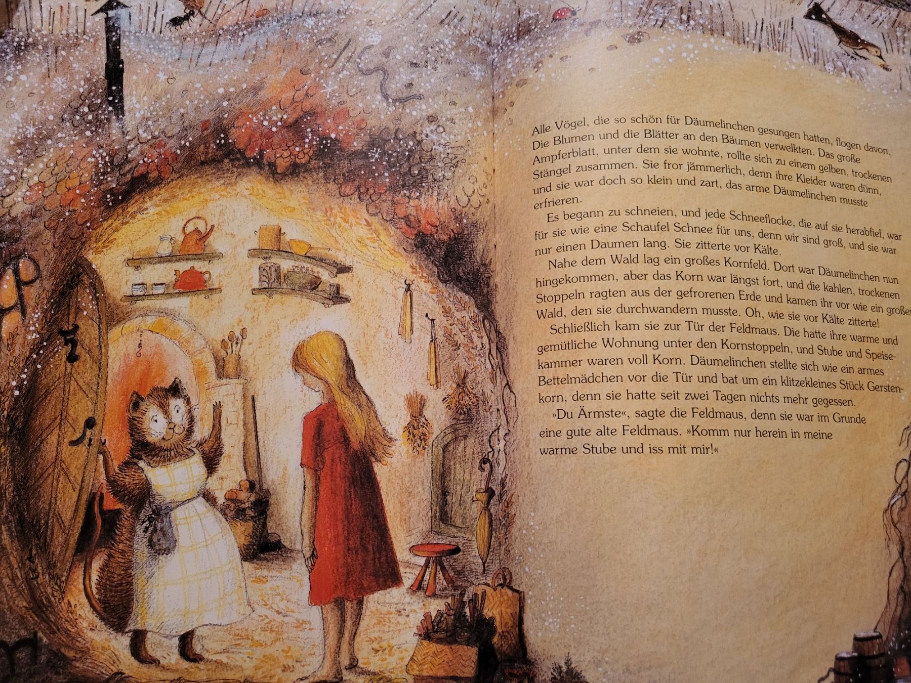 Libri: Däumelinchen  Bilderbuch Bernadette – Usato da Uzwil venduto da mad_r6mv 1
