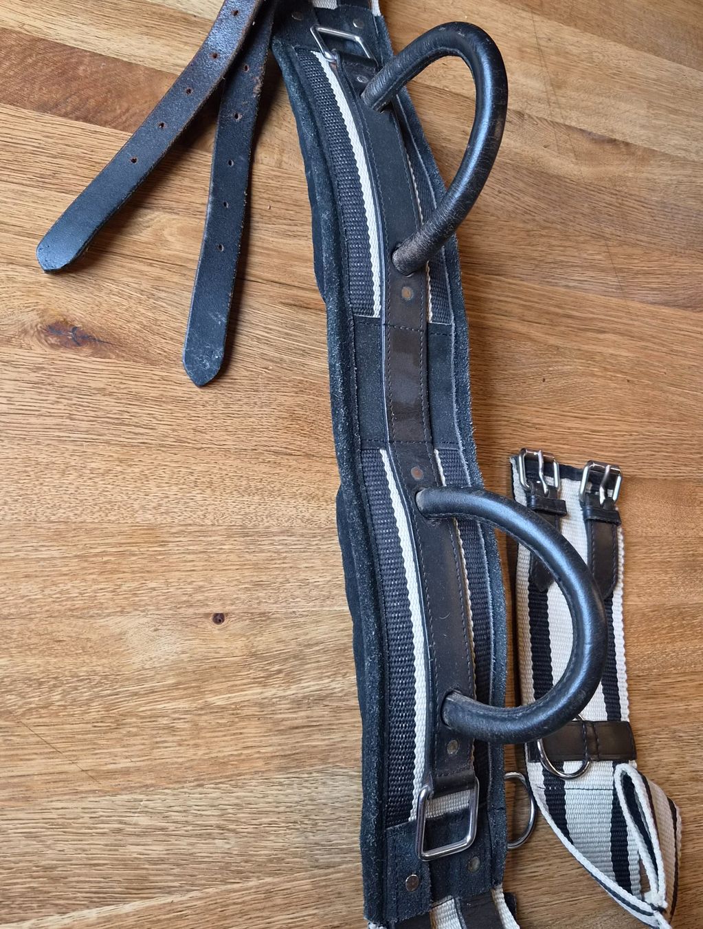 Selle & Accessori: Voltigiergurt – Usato da bichelsee venduto da numa22 2