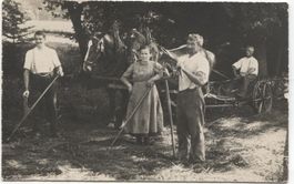 LANDWIRTSCHAFT/BAUERNFAMILIE 1920 mit Pferd + Heuwender